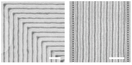 Scanning electron micrographs of block copolymer films assembled on graphene/germanium chemical patterns with 90 degree bends (left side) and with density multiplication by a factor of 10 (right side). The black dotted lines (right side) indicate the period of the graphene/germanium chemical pattern, in which the period of the assembled block copolymer is reduced by a factor of 10 due to density multiplication. The scale bars are 200 nm.