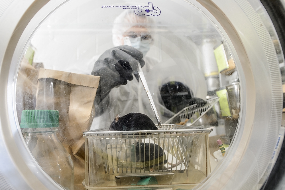 Photo: Nacho Vivas in germ-free mice lab