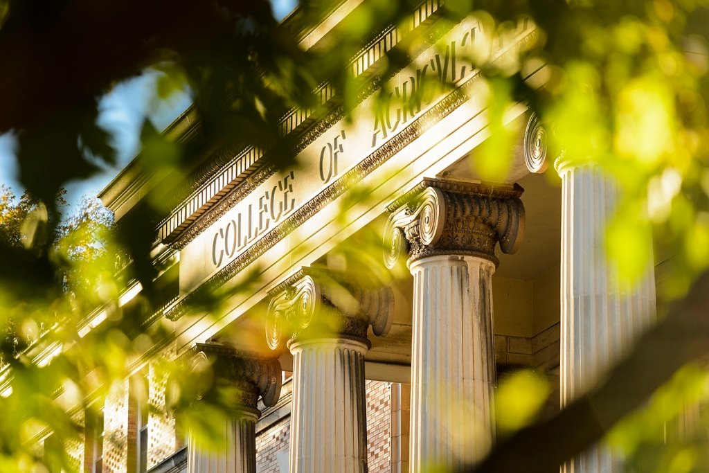 Photo: Agricultural Hall