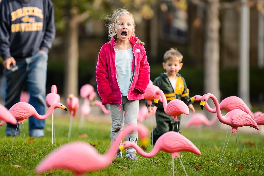 Photo: Child looking at flamingos