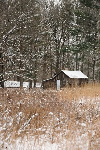 Snow-covered prairie and woods surround the historic Aldo Leopold shack in rural Baraboo, Wis. Now managed by the Aldo Leopold Foundation, the "shack" was a seasonal home and place of research for Leopold.