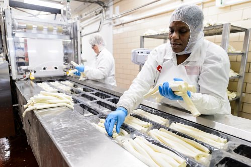 Staff at Chula Vista Cheese Company package a batch of Oaxaca-style string cheese at the facility in Browntown, Wis.