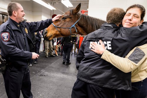 Farewell to our police horse, Vegas