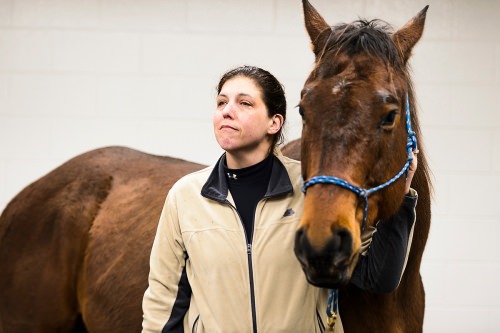 Farewell to our police horse, Vegas