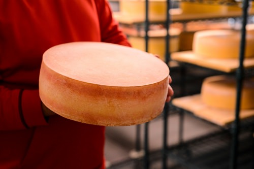 Master cheesemaker Chris Roelli holds a fifteen-pound wheel of Little Mountain cheese aging in a storage facility at Roelli Cheese.