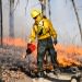 UW Arboretum land care staff member Austin Pethan uses a drip torch during a prescribed fire  at the Arboretum in spring 2016. Prescribed burns are scheduled for this week as well.
