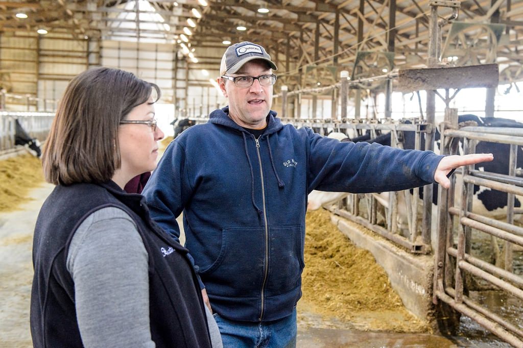 Heather White (left), assistant professor of dairy science at UW–Madison, talks with dairy farm owner and UW alumnus Mitch Bruenig (right) at his farm in Roxbury, Wisconsin. White and her students are looking for ways to detect ketosis in dairy cows. 