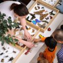 During the Science Expedition event in 2011, Children learn about creeping, crawling and flying bugs and insects at a hands-on exploration station organized by the Department of Entomology's Insect Ambassadors. This year's Science Expeditions will be this coming weekend.