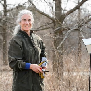 Robert and Carroll Heideman Award for Excellence in Public Service and Outreach Susan Carpenter, a senior outreach specialist, takes a break from pruning plants and brush in the native prairie garden at the University of Wisconsin-Madison Arboretum during early spring on March 24, 2017. Carpenter is one of eight recipients of a 2017 Academic Staff Excellence Award (ASEA). (Photo by Jeff Miller/UW-Madison)