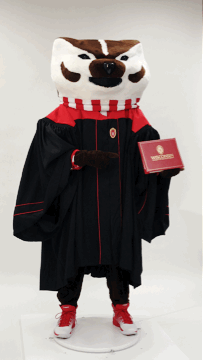 The new graduation gown for those receiving a bachelor's degree, as modeled by Bucky.