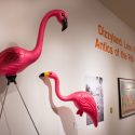Pink flamingos and more are part of the Wisconsin Union Directorate's exhibit called “Dizzyland: Leon Varjian and the Antics of the Pail & Shovel Party.” The exhibit, which runs through June 5, features pictures, signs, posters, newspaper clippings and other objects from the years of the Pail & Shovel Party.