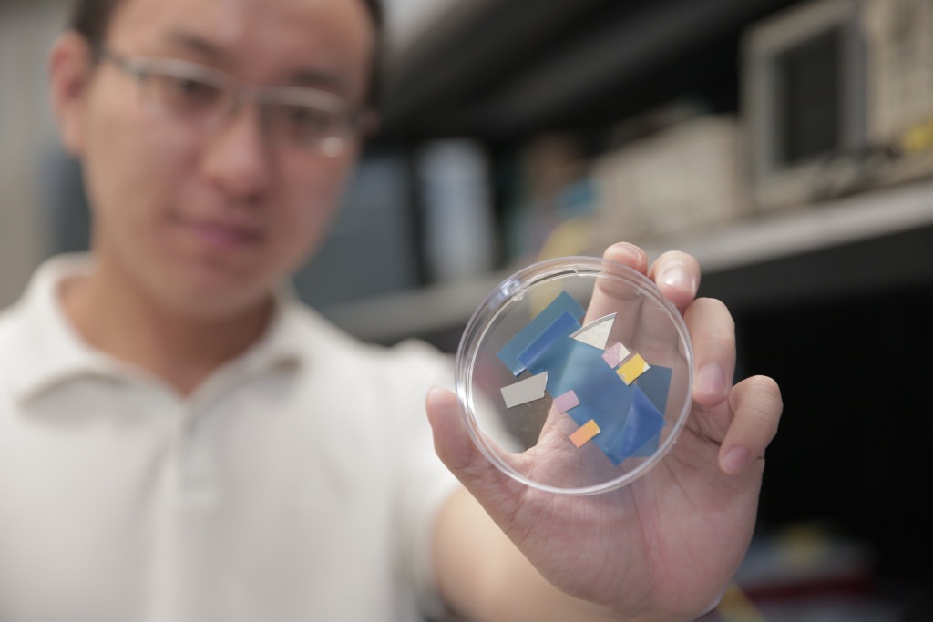 Photo: Researcher holding photodetector samples