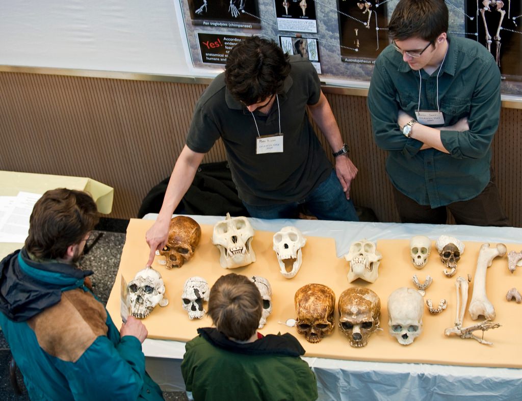 Photo: Grad students showing skulls to schoolchildren