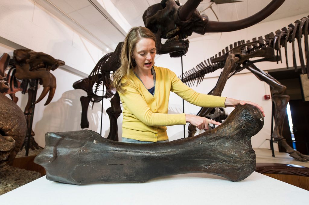 Photo: Carrie Eaton standing with mastodon bone