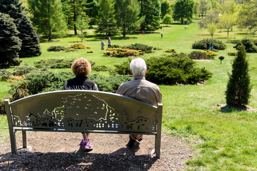 New Arboretum director continues legacy of restoration, teaching