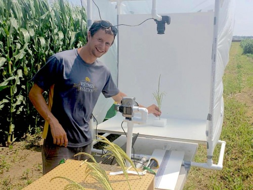Photo: Joe Gage measuring corn plants