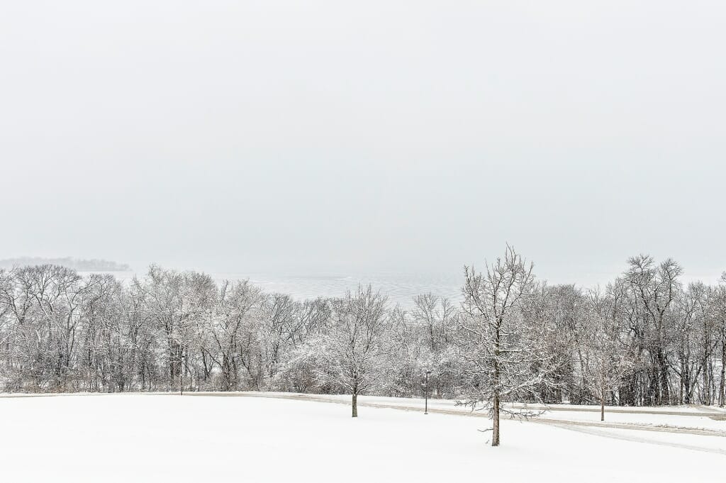 Photo: Snow-covered trees seen from Observatory Hill