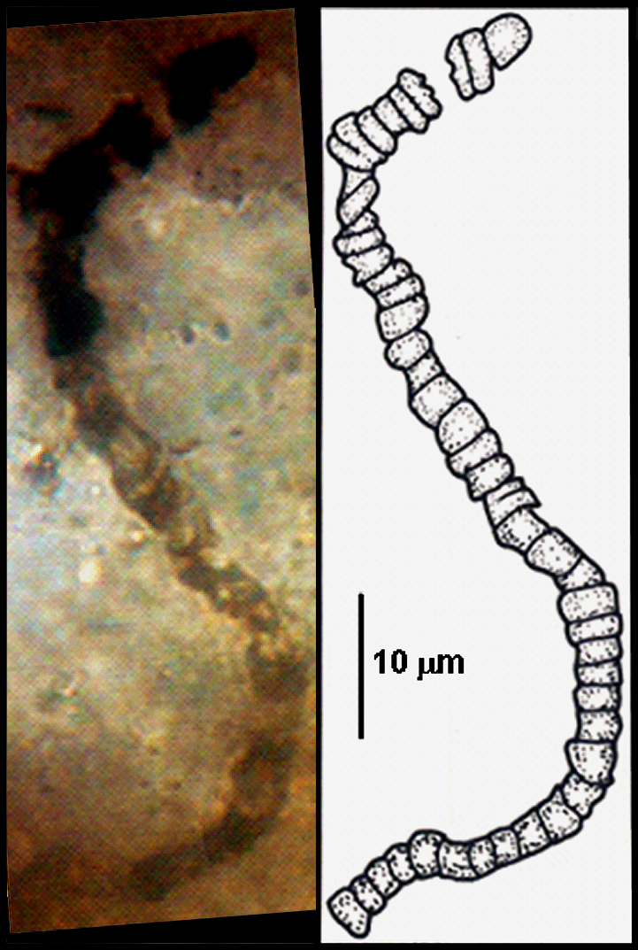 Billion-year-old rocks reveal traces of ancient life