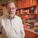 William Busse, a professor of asthma, pulmonary and critical care medicine at the UW–Madison School of Medicine and Public Health, is looking at connections between the immune system and the brain.