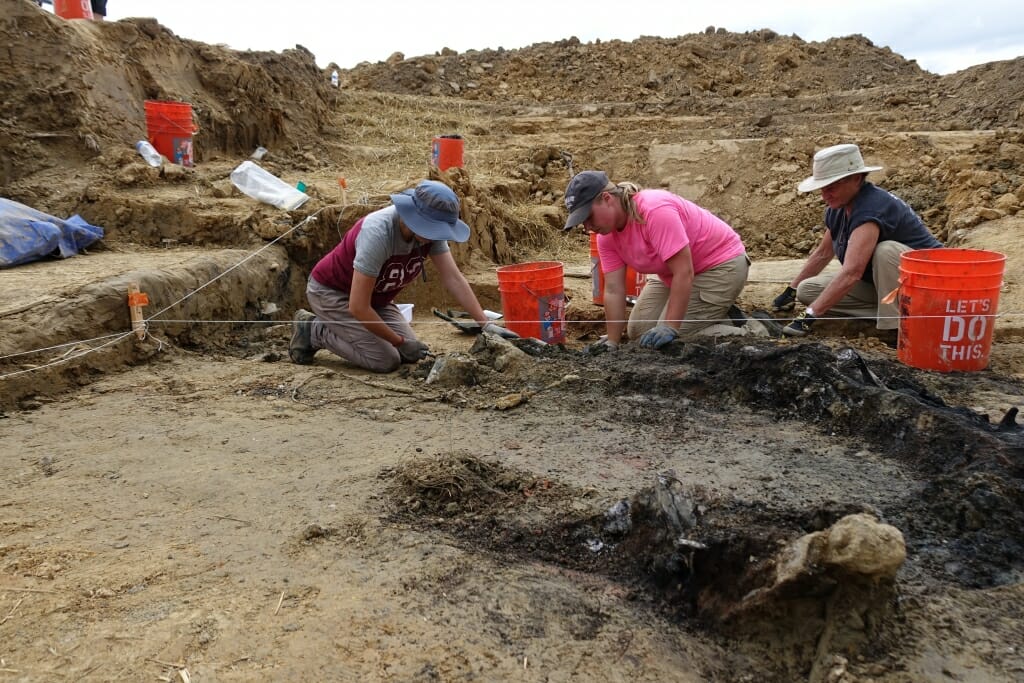 Photo: Excavators digging for remains