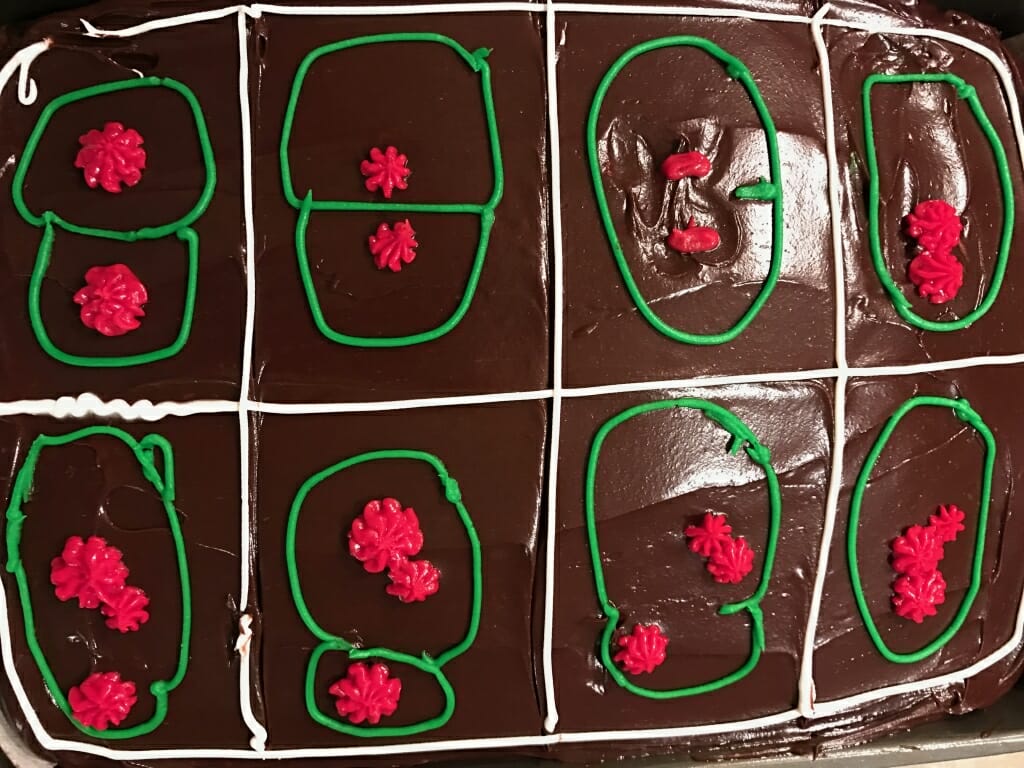Photo: Cake showing errors in cell division