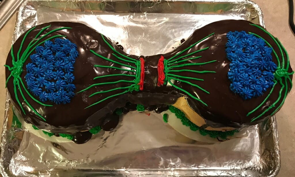 Photo: Cake showing cell dividing