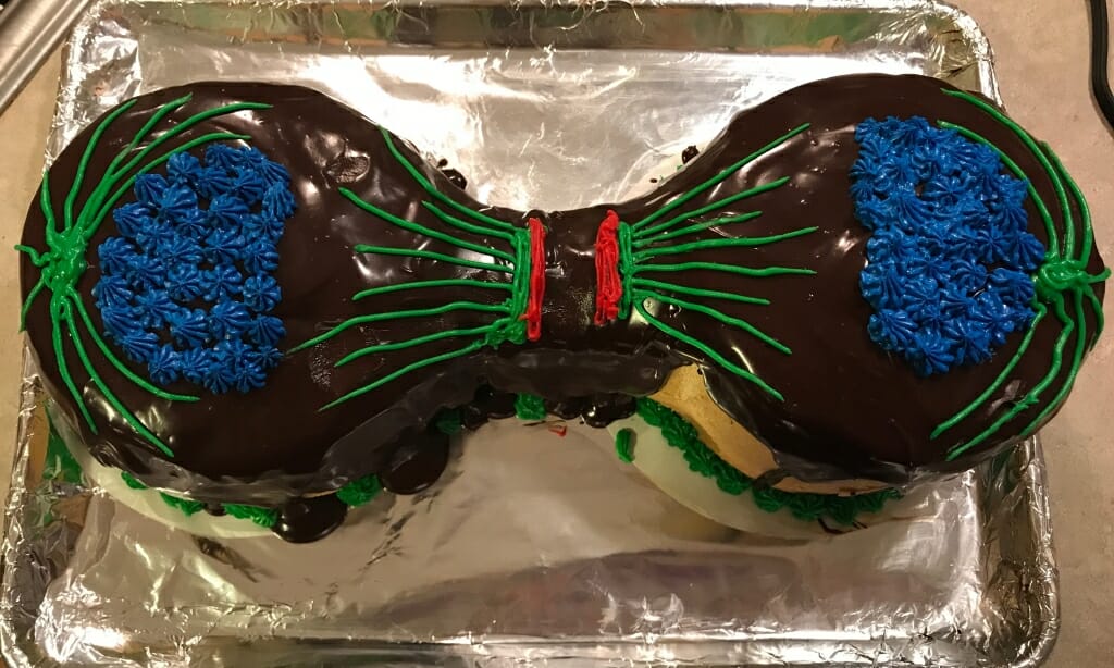 How to Make an Edible Animal Cell Cake - Grace Like Rain Blog