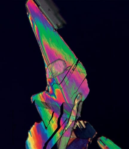 Photo: A crystal of furandicarboxylic acid