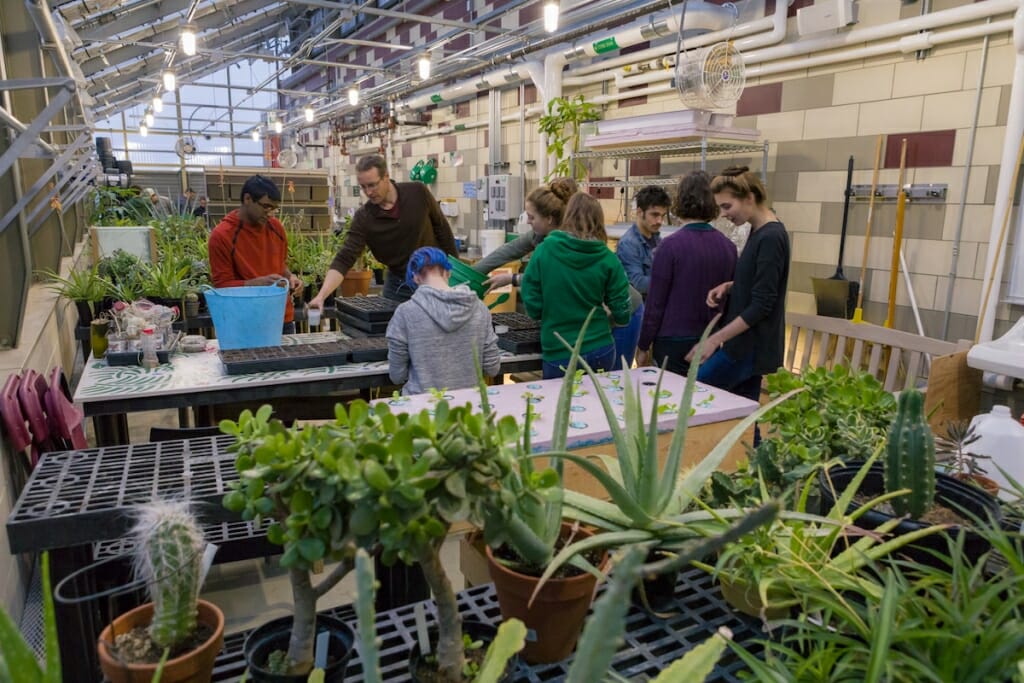 Photo: Turnquist with students gathering around plants on table