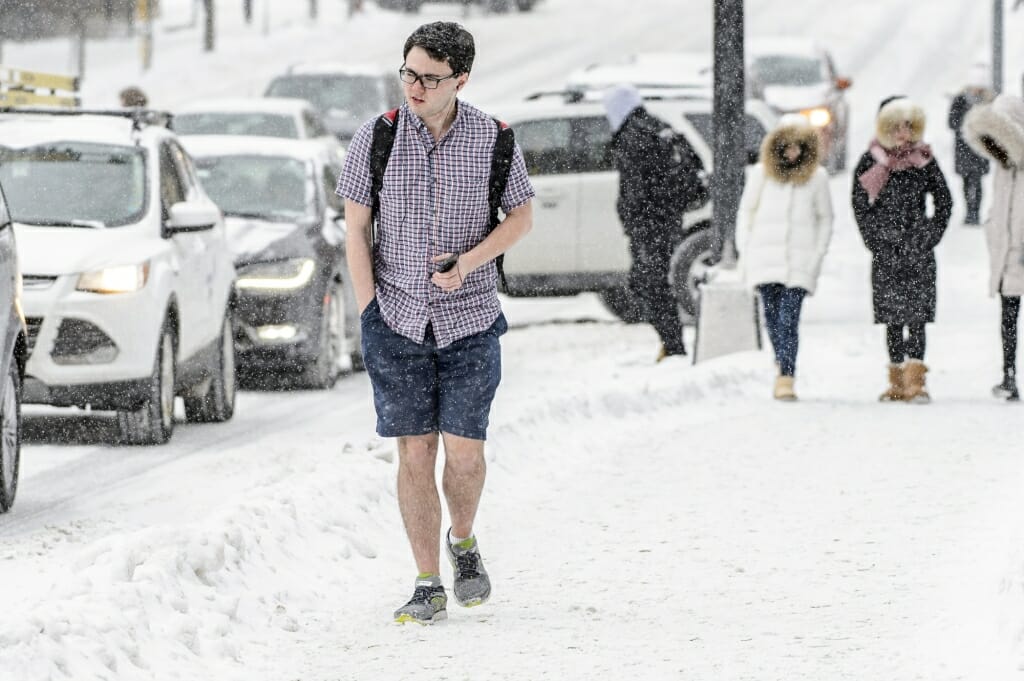 Image result for shorts in the snow