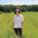 Carly Ziter conducts field work in a restored urban prairie in Turville Point Conservation Park in Madison.