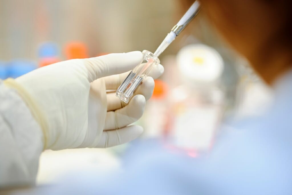 Photo: Gloved hands of researcher holding stem cell cultures