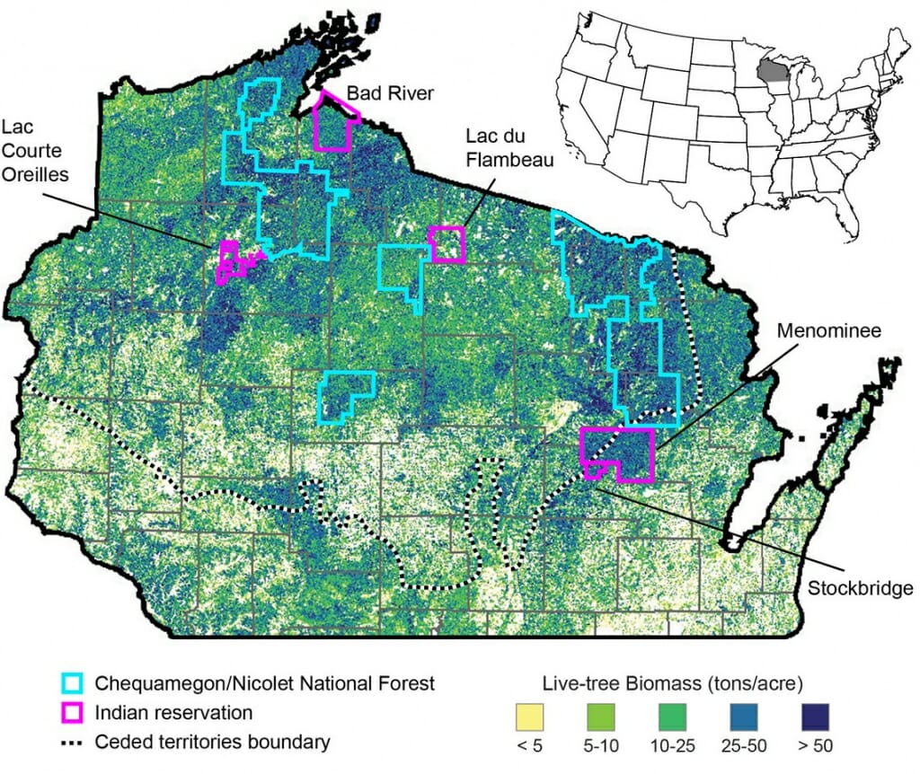Tribal forests in Wisconsin are more diverse, sustainable