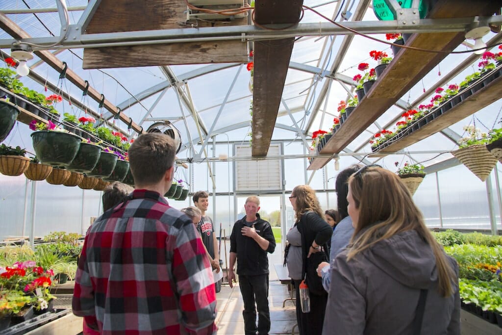 Photo: Teacher with visitors in greenhouse