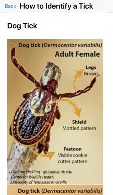 Wisconsin Ticks Wisconsin researchers release new app to study what makes ticks ‘tick ...