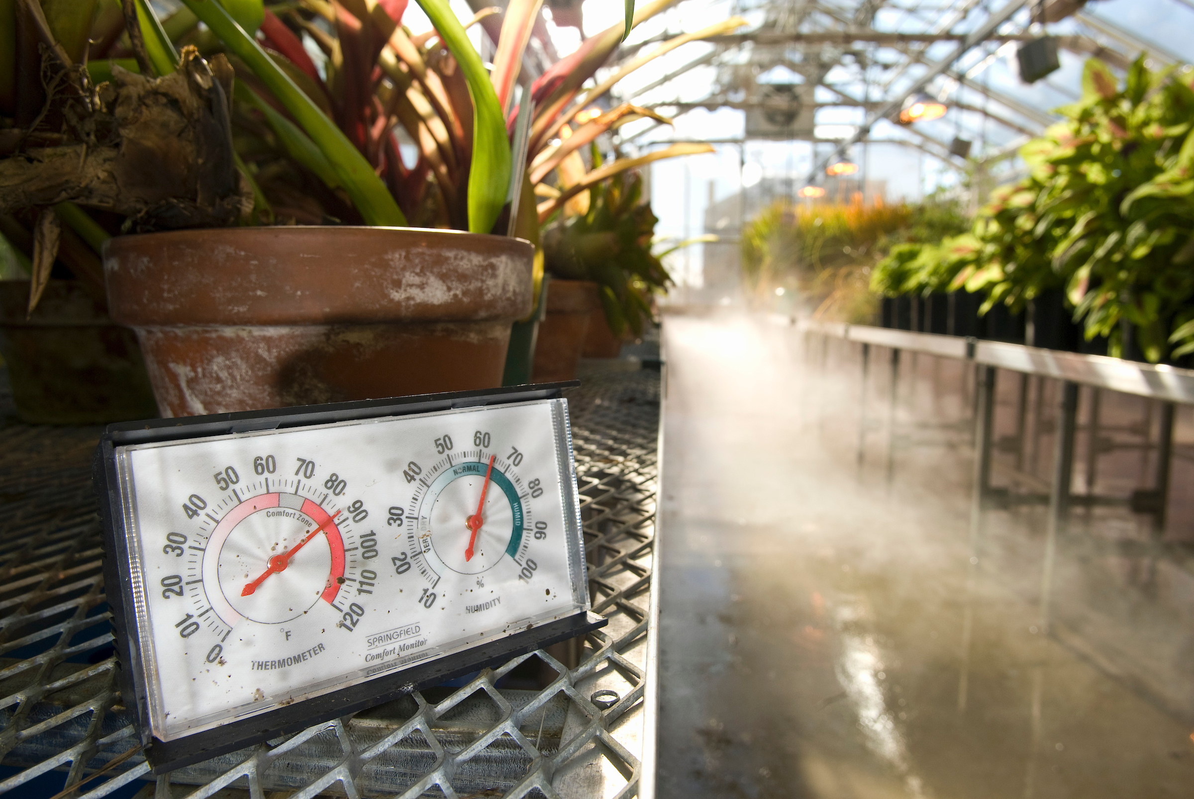 Hot or Cold? How Soil Temperature Affects Houseplants– Plantee