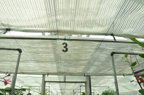 Photo: Cloth draped below ceiling of greenhouse