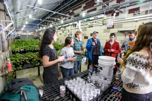 Photo: Students listening to man teaching them in greenhouse