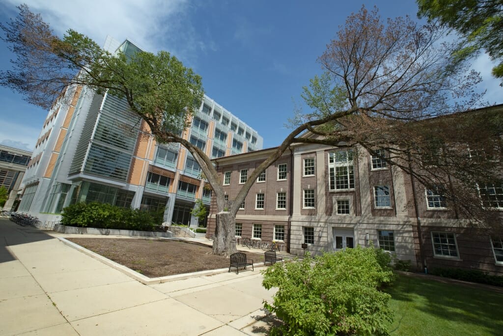 Dutch elm disease claims “Elmer,” a campus tree more than a century old