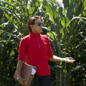Heidi Kaeppler of the Wisconsin Crop Innovation Center, described new technology that can drastically reduce the time needed for genetic transformation of crops.