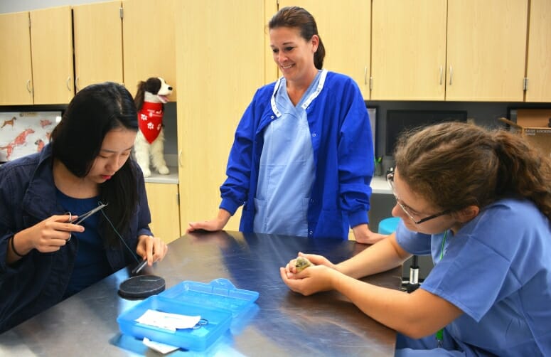 Local high school students participate in UWMadison paid internship