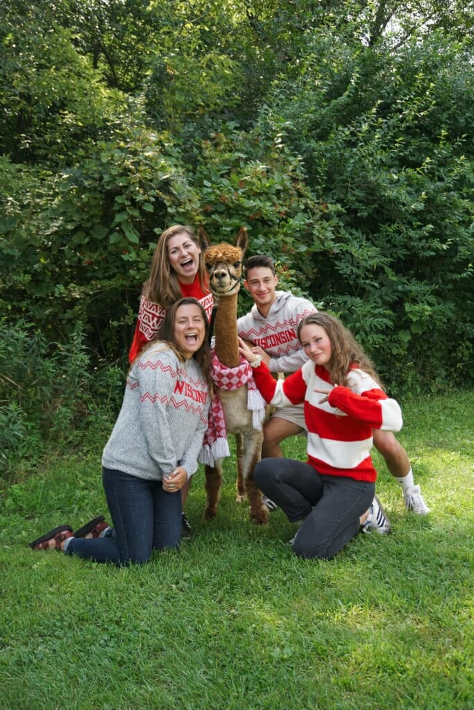 Models wearing CAMPO's clothes pose next to an Alpaca.