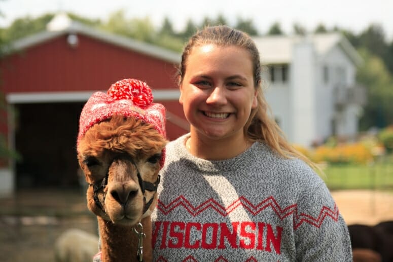 alpaca clothes near me