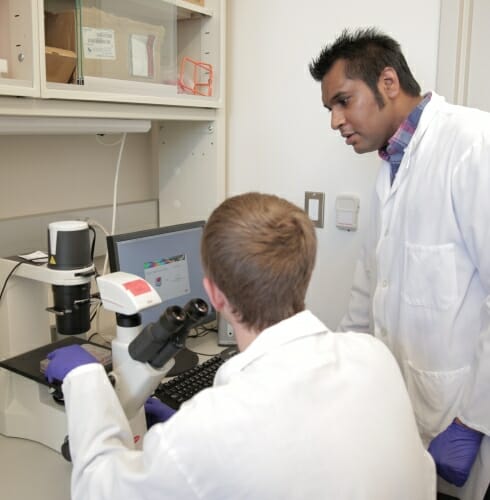 Photo: Krishanu Saha (right) and a researcher in a lab wearing white lab coats and looking into a microscope