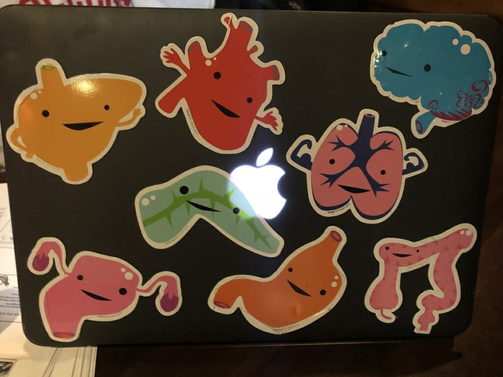 Senior Chloe Farber's laptop, which features eight organ stickers, each with a cute, smiling face. The pancreas sticker, a green and blue blob, is her favorite. 