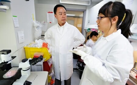 Photo: Su-Chun Zhang in lab talking to student