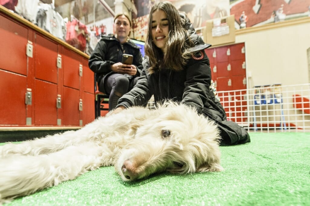 Charlie seems to be enjoying the petting as much as the students, who are taking a break from studying for finals.