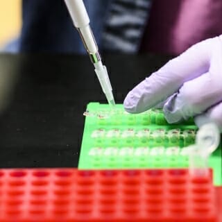 Photo: Closeup of researcher putting cells from pipette into tray