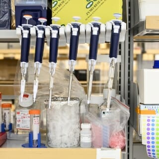A row of micro-pipettes.