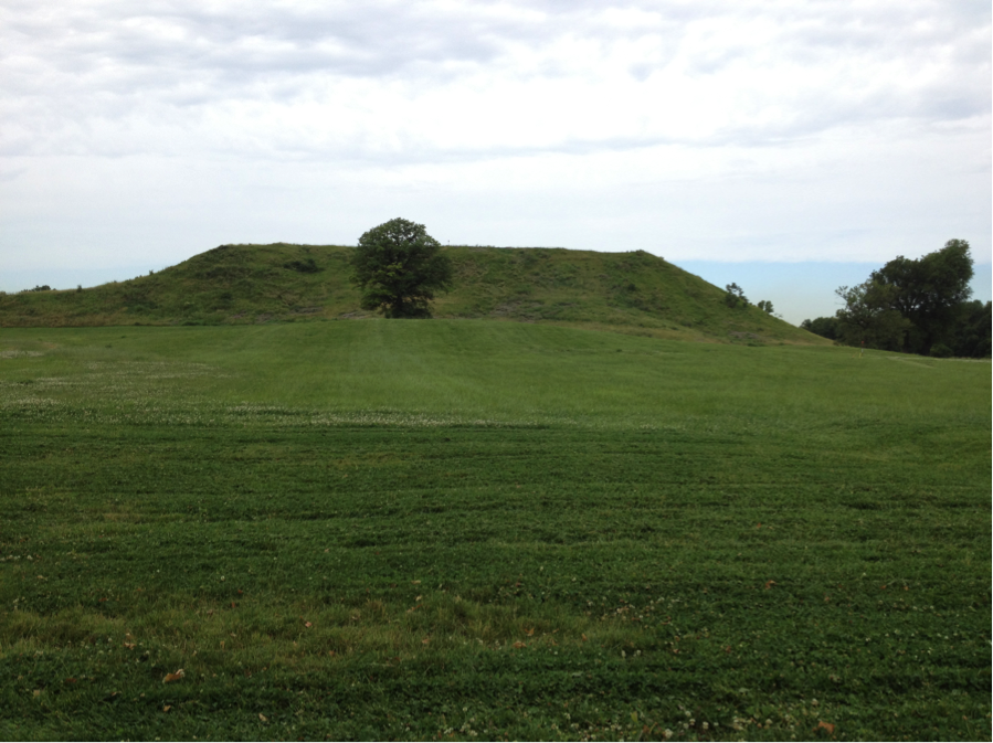 Photo: A grassy hill.